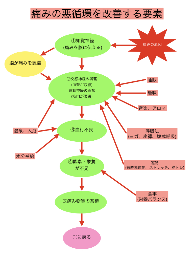 痛みの悪循環 改善編 横須賀の整体ならスタッフ全員が国家資格を持つi Styleへ